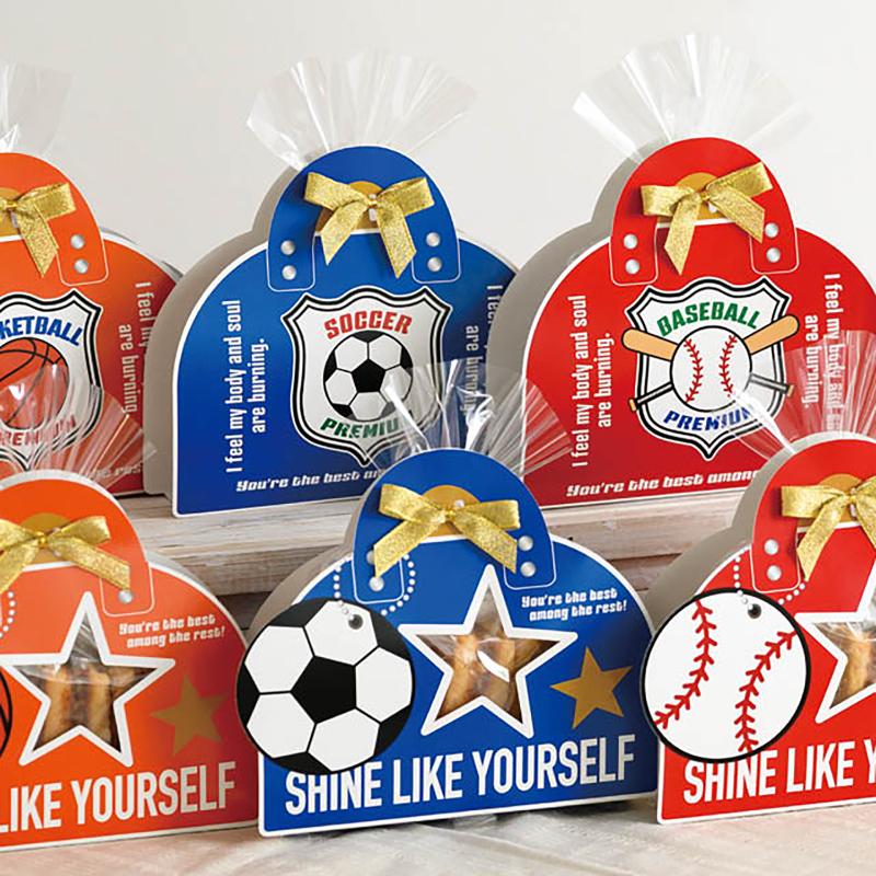 贈答箱 SPT-CVB2 スポーツカバーバッグ-2/サッカー(10枚) ヘッズ