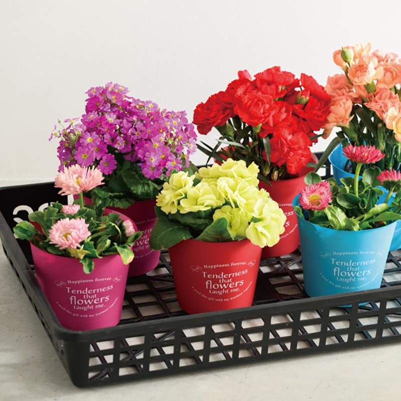 花器 CPM-POPS カラフルフラワーポット-S/マットピンク(30個) ヘッズ