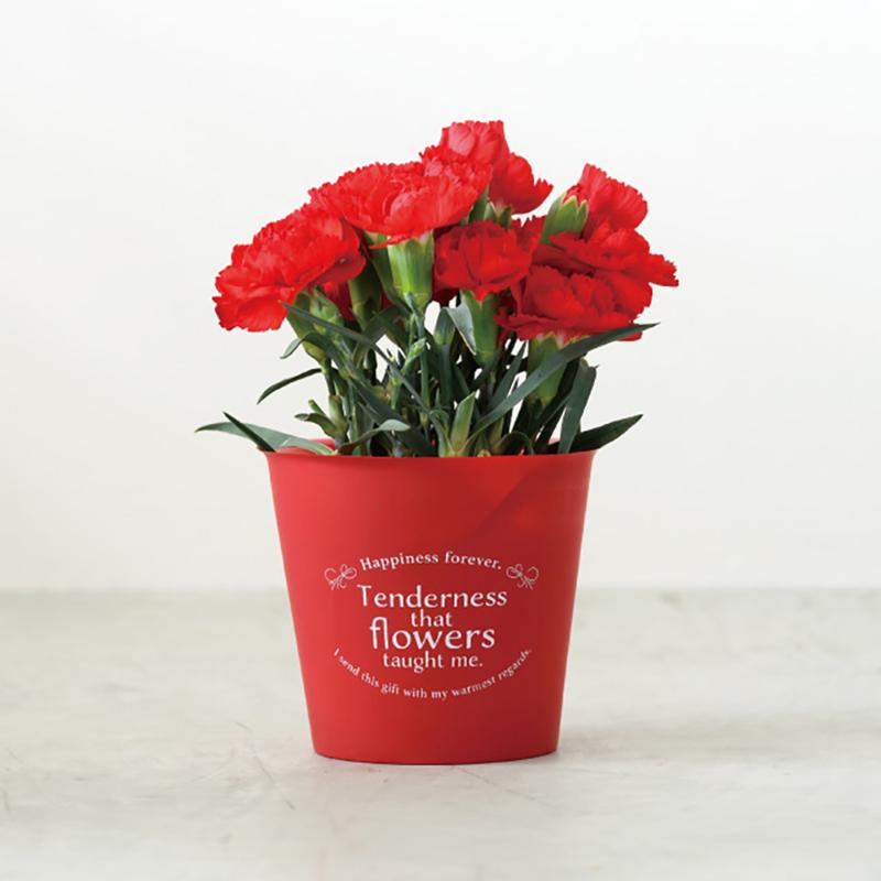 花器 CPM-PORS カラフルフラワーポット-S/マットレッド(30個) ヘッズ