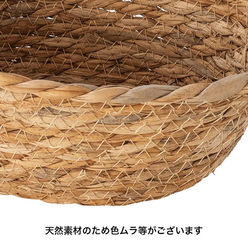 贈答箱 KGI-GT1 カゴトレイラッシュ-1(6個) ヘッズ
