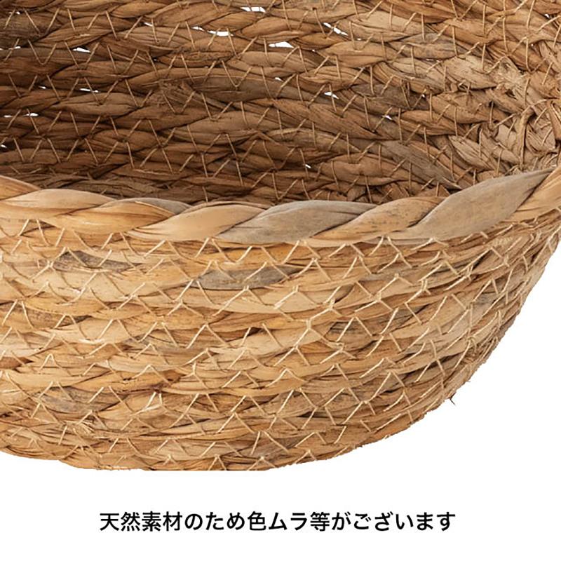 贈答箱 KGI-GT2 カゴトレイラッシュ-2(6個) ヘッズ