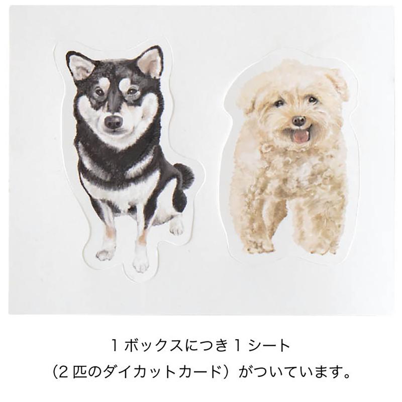 贈答箱 CHRA-COB2 チャリティーアニマルコレクション貼箱-2/犬(6個) ヘッズ