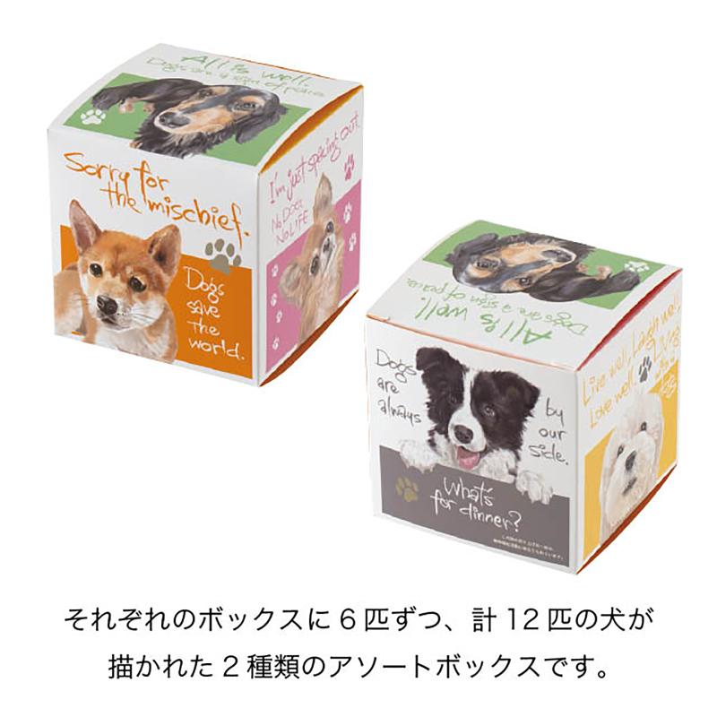 贈答箱 CHRA-GS2 チャリティーアニマルアソートギフトボックス-S/犬(20枚) ヘッズ