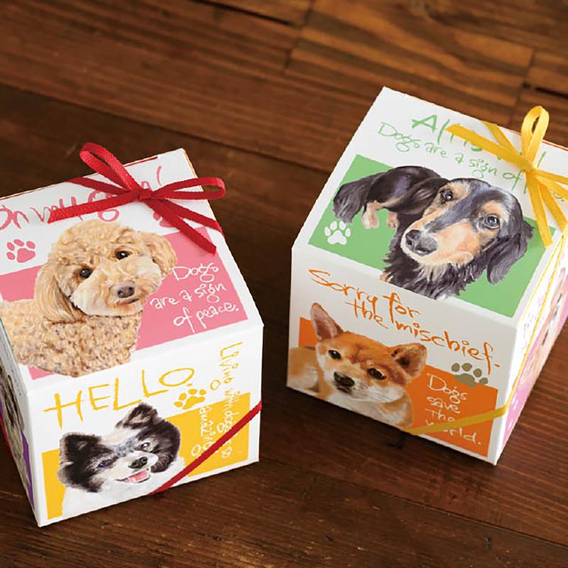 贈答箱 CHRA-GS2 チャリティーアニマルアソートギフトボックス-S/犬(20枚) ヘッズ