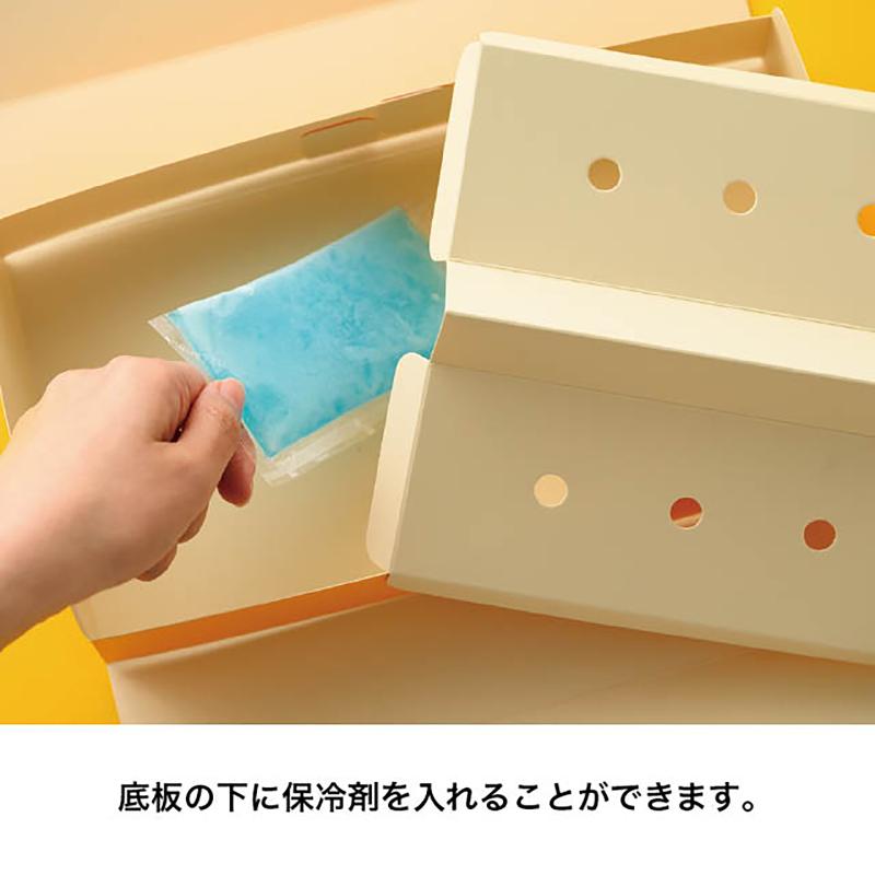 贈答箱 CSS-DGB1 クロスステッチダイレクトギフトボックス-1(20枚) ヘッズ