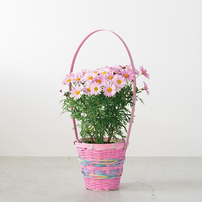 ラッピング用品 MPB-RMB ミックスバンブーラウンドバスケット/ピンク-M(6個) ヘッズ