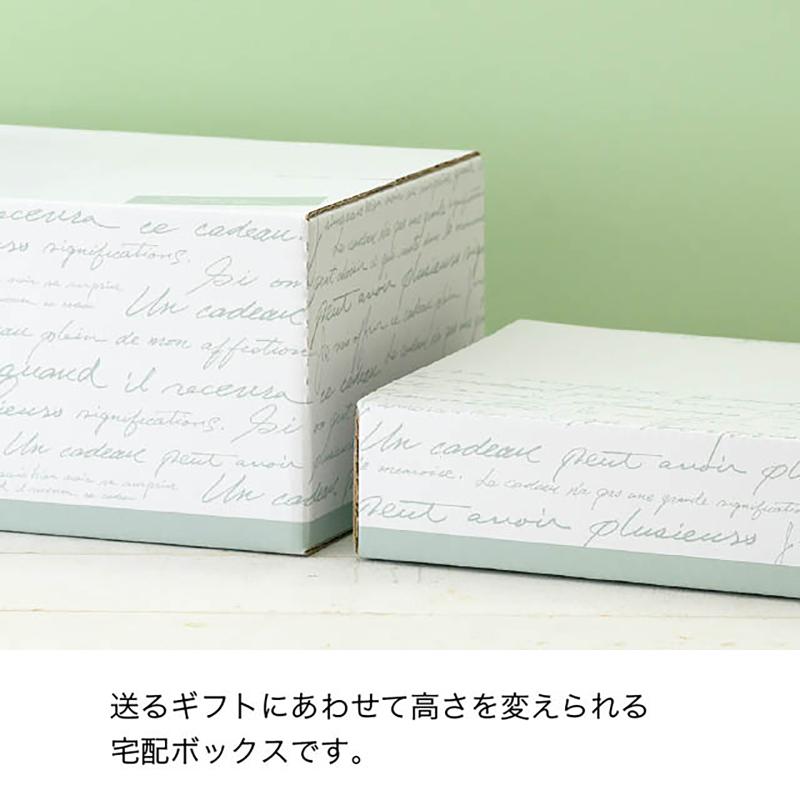 ダンボール NF-CT1 NEWフレンチカートンBOX-1(10枚) ヘッズ