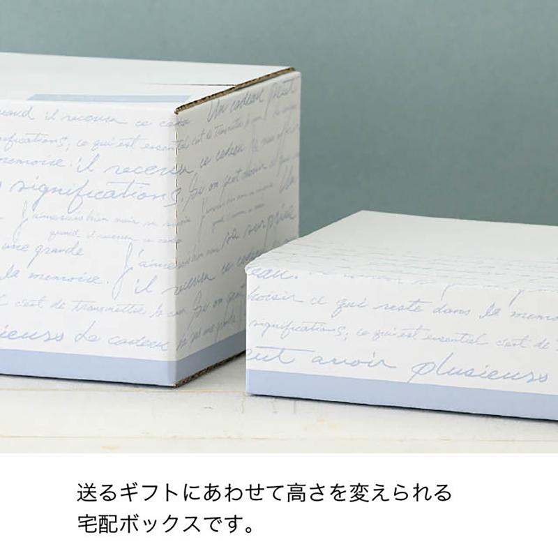 ダンボール NF-CT2 NEWフレンチカートンBOX-2(10枚) ヘッズ