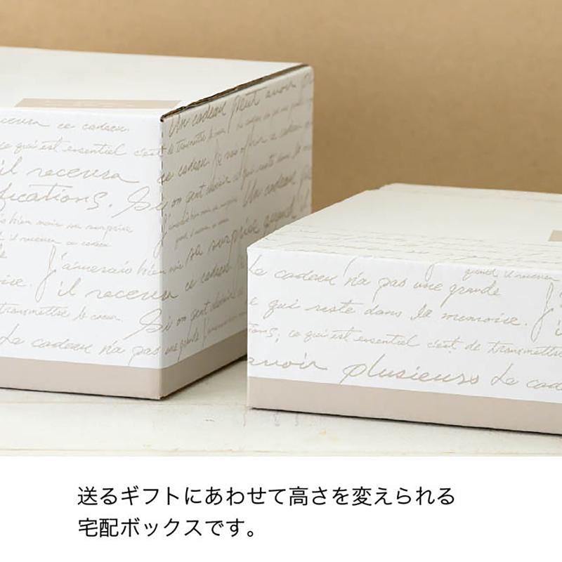 ダンボール NF-CT3 NEWフレンチカートンBOX-3(10枚) ヘッズ