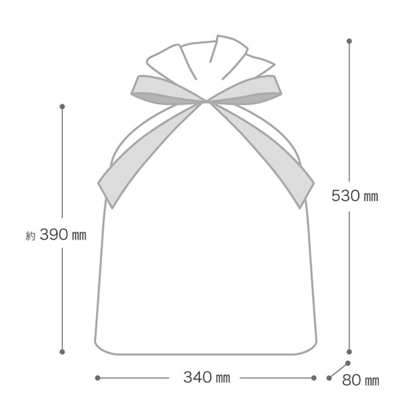 ラッピング用品 COA-RBM カラフルアートリボン付バッグ-M(20枚) ヘッズ