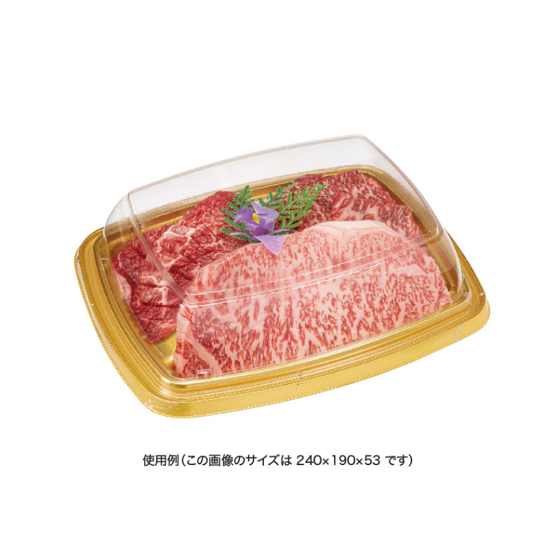 バイオ パティブル角 24-19 OCA