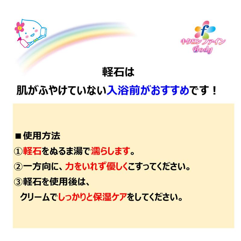 衛生資材 キクロンファイン 軽石ブラシ付 キクロン