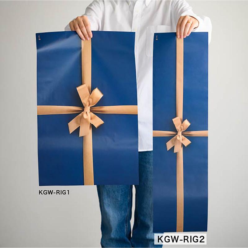 包装紙 KGW-RIG2 掛け紙ワイド型/フォトプリント金リボン-2(30枚) ヘッズ