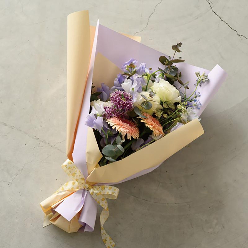 包装紙 WRP-RO25 ラッピングカラーPPロール-25/クリーム(1巻) ヘッズ