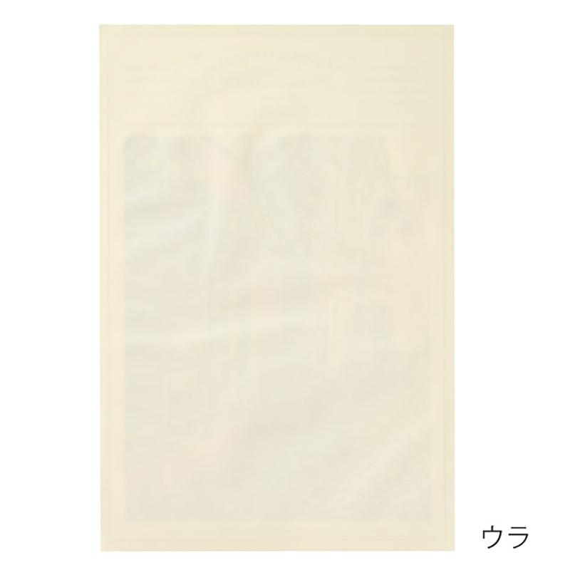 包装紙 BWP-D2 ブーケラッピング耐水ペーパー-2(30枚) ヘッズ