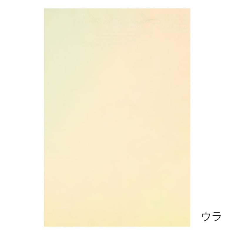 包装紙 BWP-D5 ブーケラッピング耐水ペーパー-5(30枚) ヘッズ