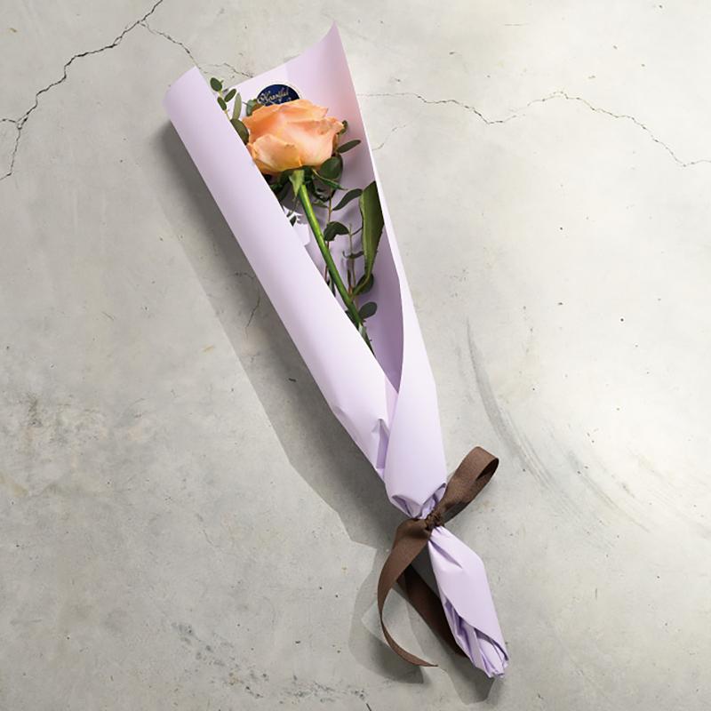 包装紙 WRP-RO26 ラッピングカラーPPロール-26/ライラック(1巻) ヘッズ