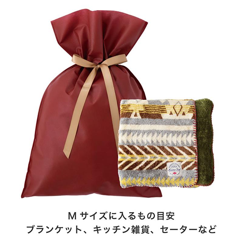 ラッピング用品 SFE-RBM 不織布リボン付ギフトバッグ-M/エンジ(10枚) ヘッズ