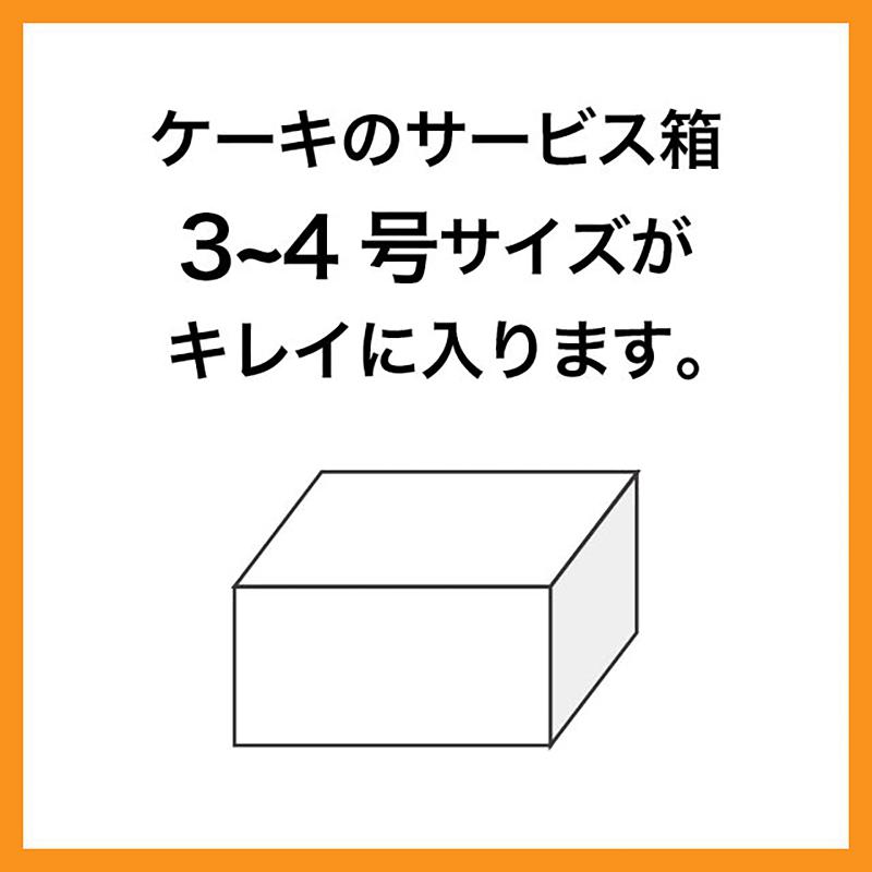 保冷バッグ WV-2CB ウェーブクールバッグ-2(10枚) ヘッズ