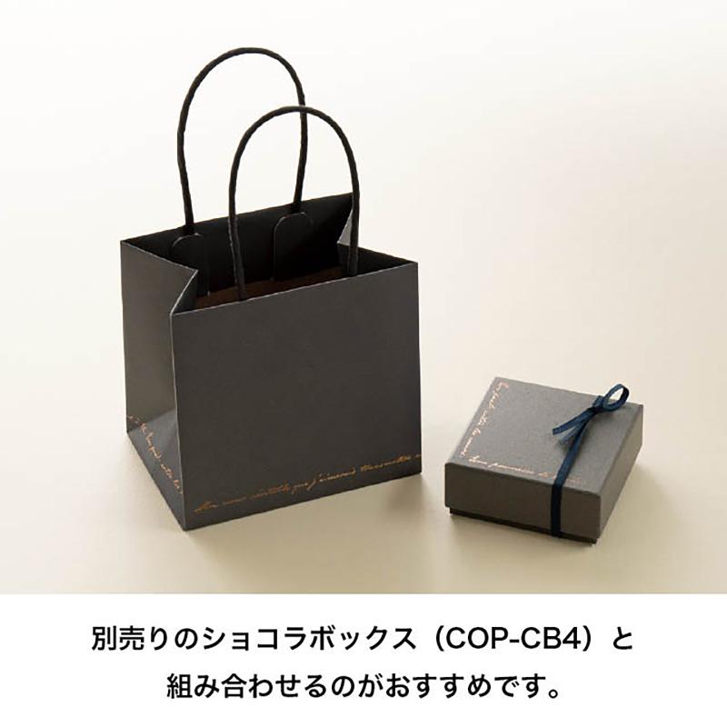 ラッピング用品 COP-M2P コッパースタンプミニペーパーバッグ-2(10枚) ヘッズ