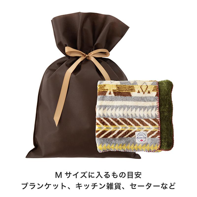 ラッピング用品 SFB-RBM 不織布リボン付ギフトバッグ-M/ブラウン(10枚) ヘッズ