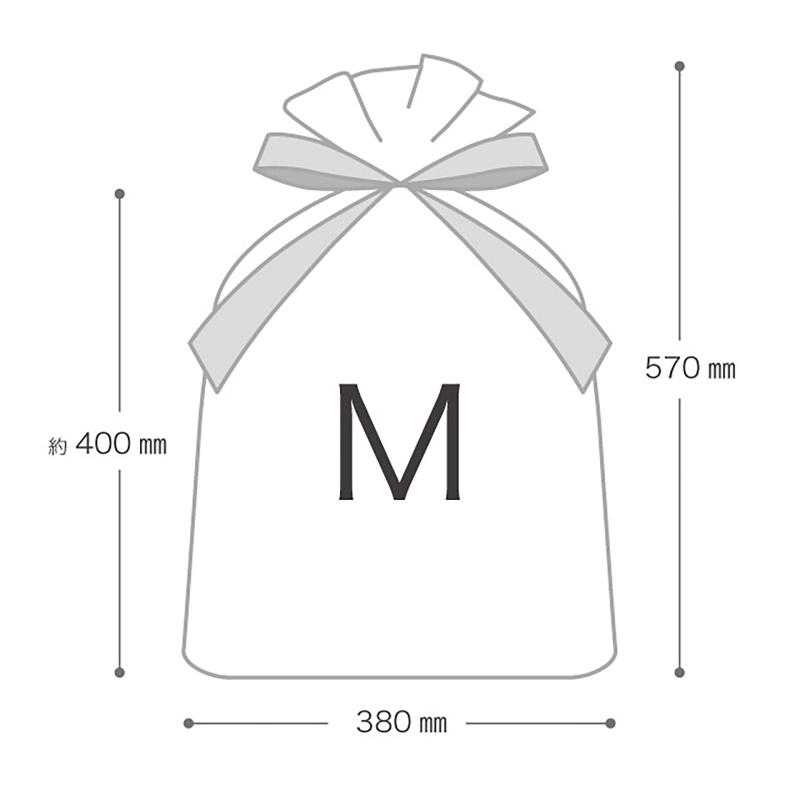 ラッピング用品 SFB-RBM 不織布リボン付ギフトバッグ-M/ブラウン(10枚) ヘッズ