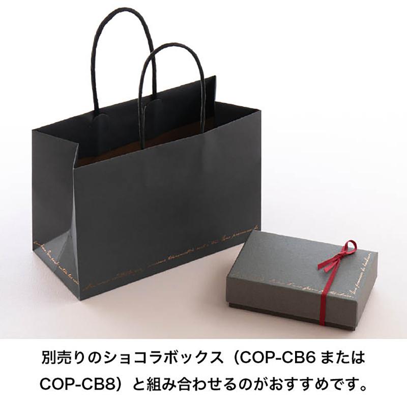 ラッピング用品 COP-M1P コッパースタンプミニペーパーバッグ-1(10枚) ヘッズ