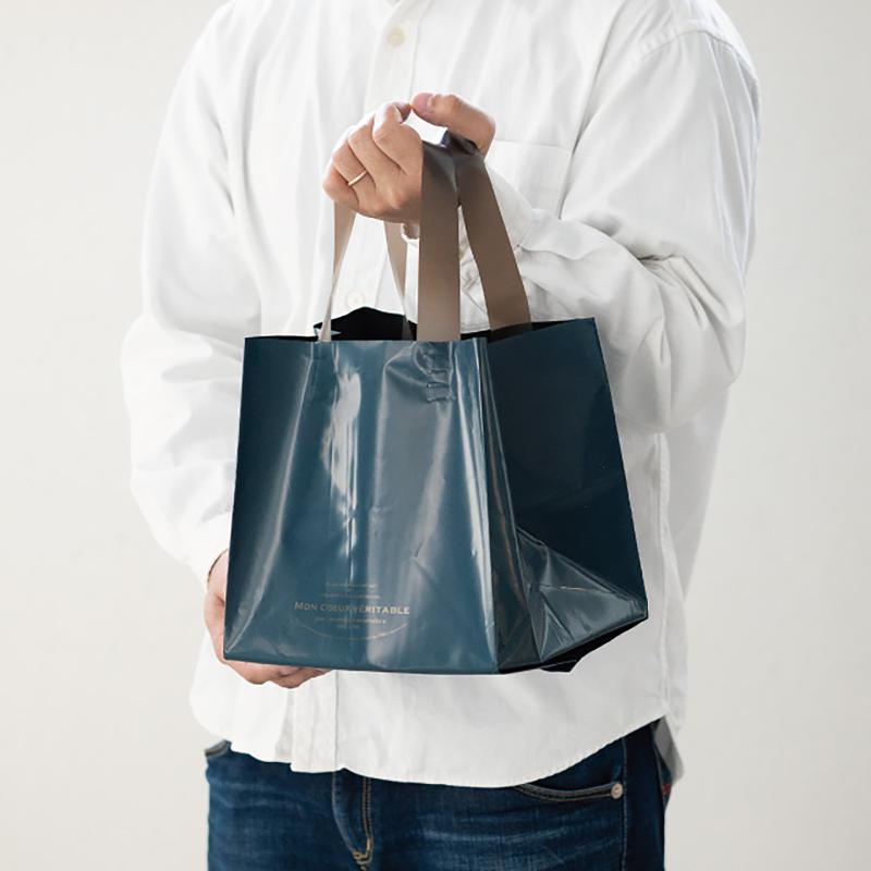 ポリ手提げ ALN-3XSB アレーヌワイドバッグ-XS(20枚) ヘッズ