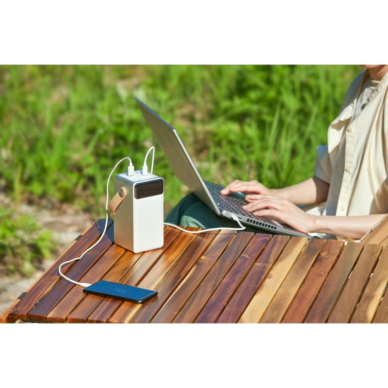 充電機器 バッテリーステーションIBT-A60100-W アイリスオーヤマ