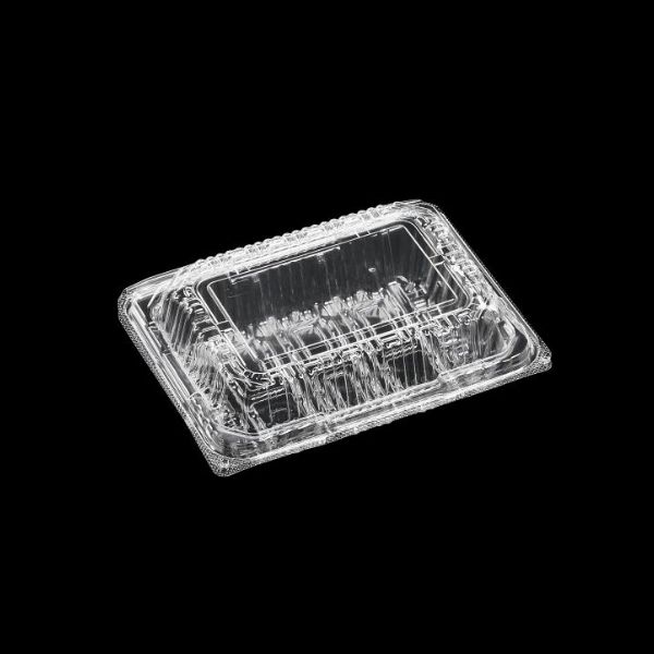 テイクアウト容器 フードパック SAT15-12(46) エフピコ