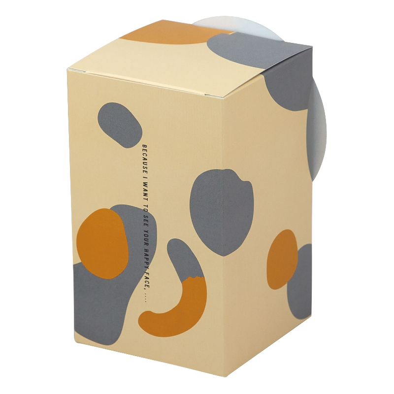 ギフト箱 ガオーBOX ねこ ヤマニパッケージ