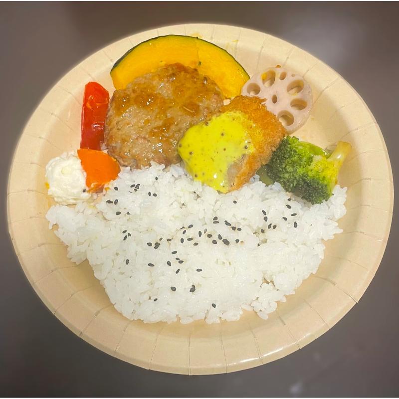 パルプモールド 竹パルプペーパープレート 22cm ペーパーウェア