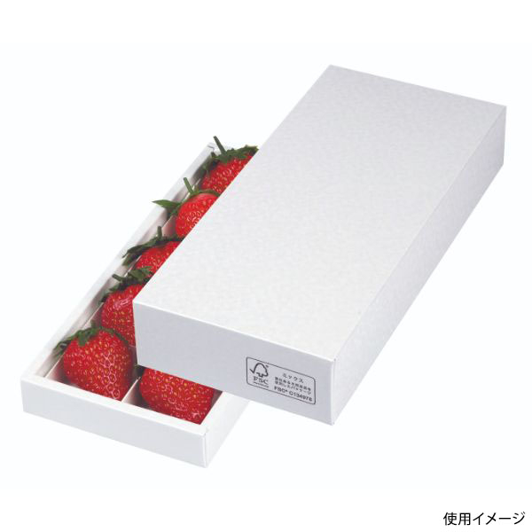 ギフト箱 L-2401FS パールアソート10FS ※FSC認証品・仕切除く ヤマニパッケージ