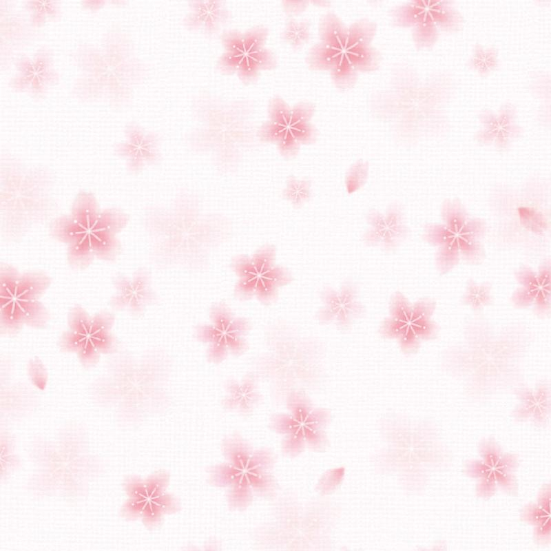 ギフト資材 49-1510 包装紙 和ごころ桜 半才判 50枚入 ササガワ