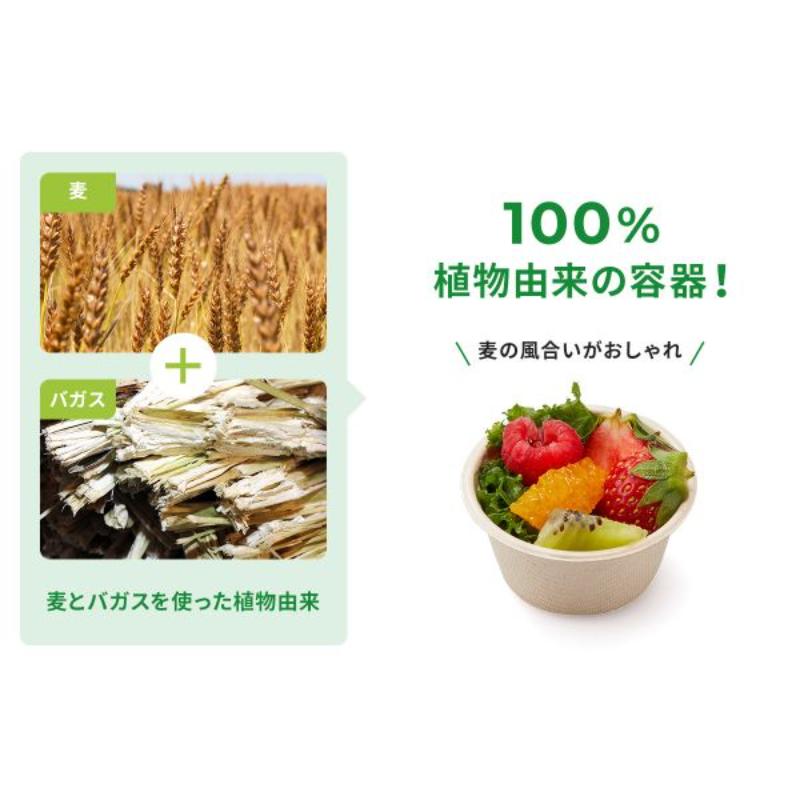 フルーツ容器 WBカップ62-40 パックスタイル