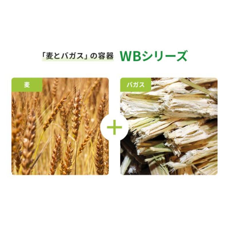 フルーツ容器 WBカップ62-40 パックスタイル