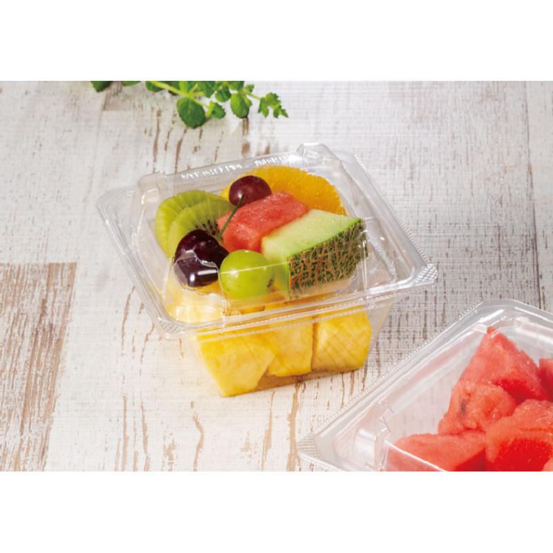 バイオ フィットシェル 13-中皿R