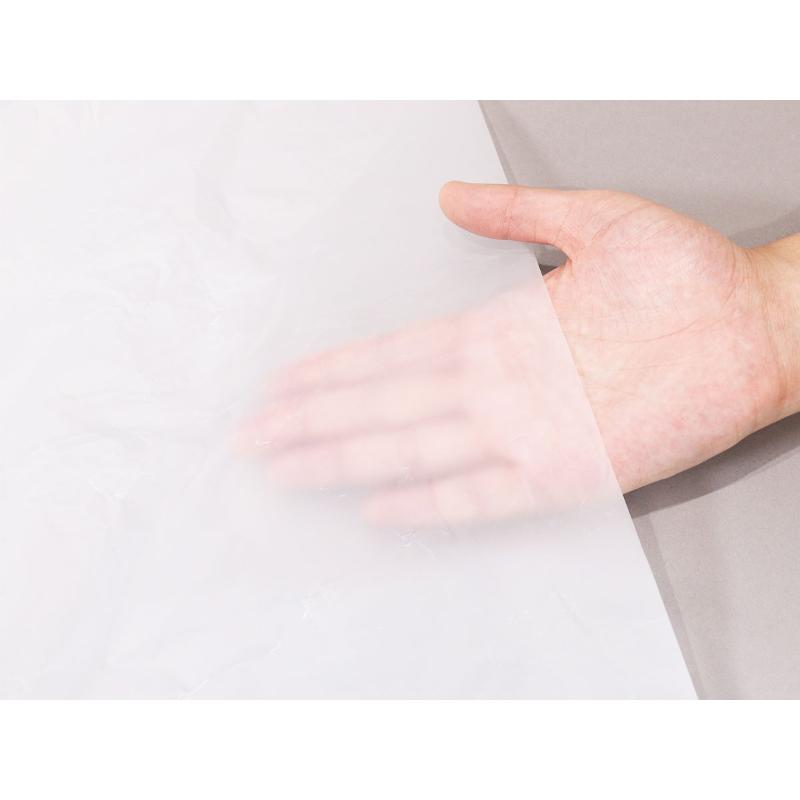 HDゴミ袋 エコノプラス nocoo in(ノクーイン) 70L 半透明 20枚 0.020mm 日本サニパック