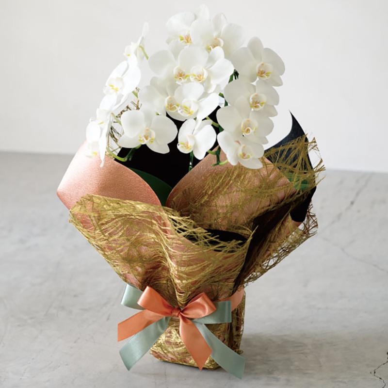 ギフト資材 LBF-RO1 ラブリエファブリックロール-1/ゴールド ヘッズ