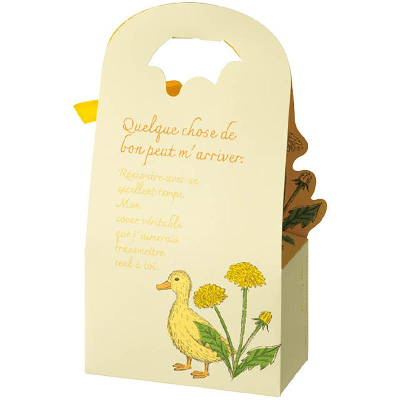 ギフト箱 FAA-DB1 フラワーアニマルダイカットボックス-1/アヒル(10枚) ヘッズ