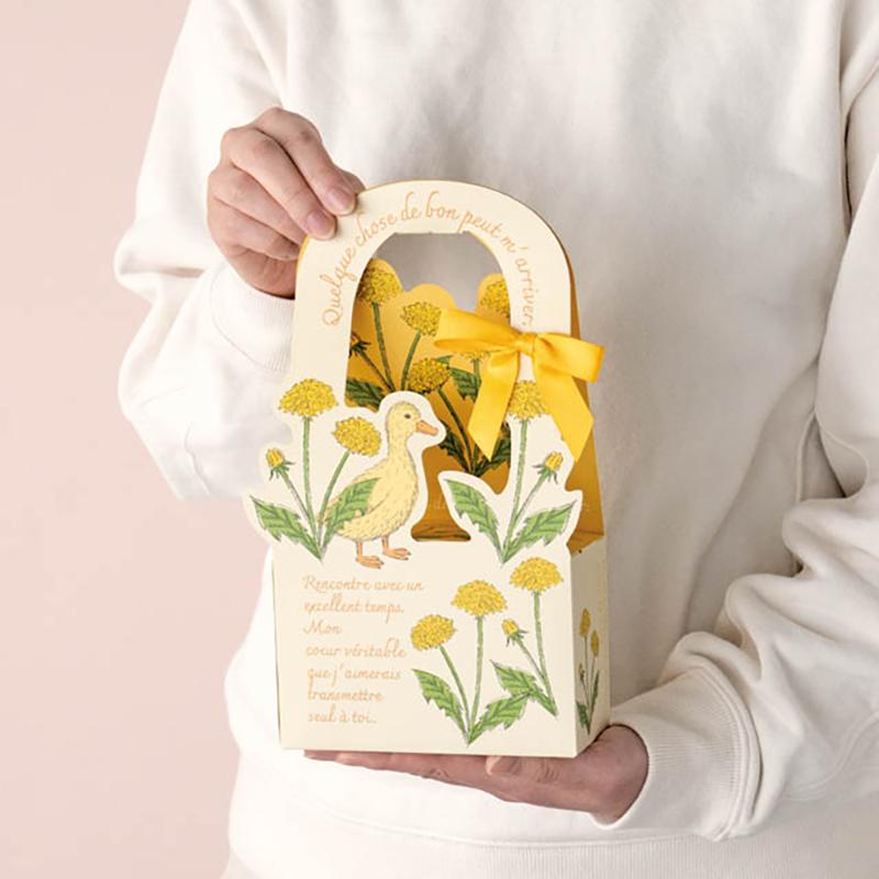 ギフト箱 FAA-DB1 フラワーアニマルダイカットボックス-1/アヒル(10枚) ヘッズ