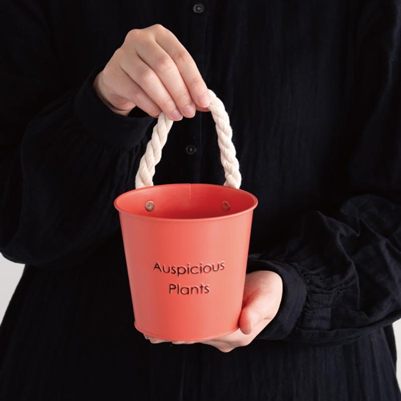 鉢カバー HPO-BBKS ハッピープランツブリキバケツ-S/オレンジ(6個) ヘッズ