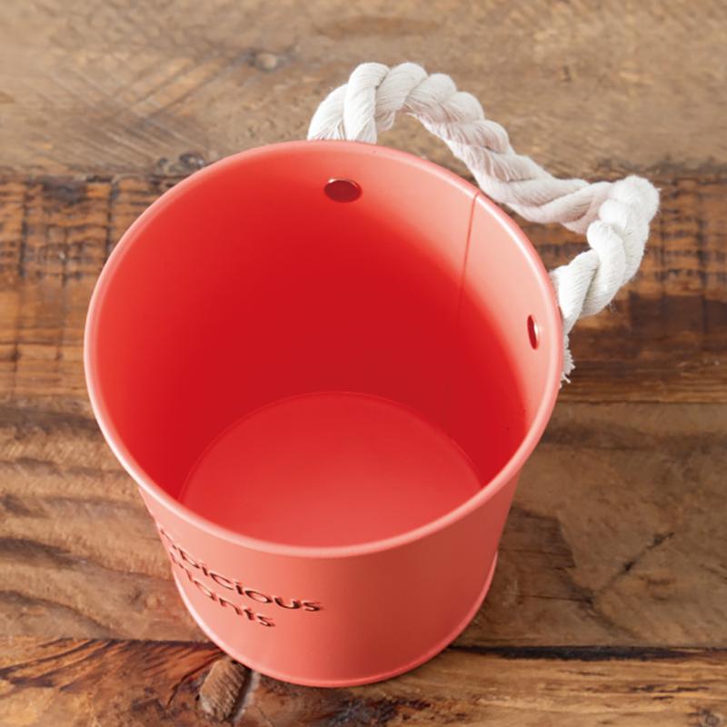 鉢カバー HPO-BBKS ハッピープランツブリキバケツ-S/オレンジ(6個) ヘッズ