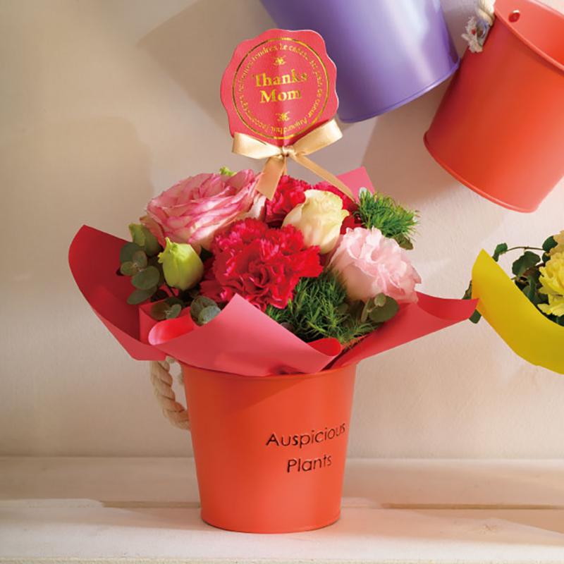 鉢カバー HPO-BBKS ハッピープランツブリキバケツ-S/オレンジ(6個) ヘッズ