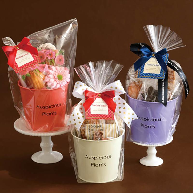 鉢カバー HPO-BBKS ハッピープランツブリキバケツ-S/オレンジ(6個) ヘッズ