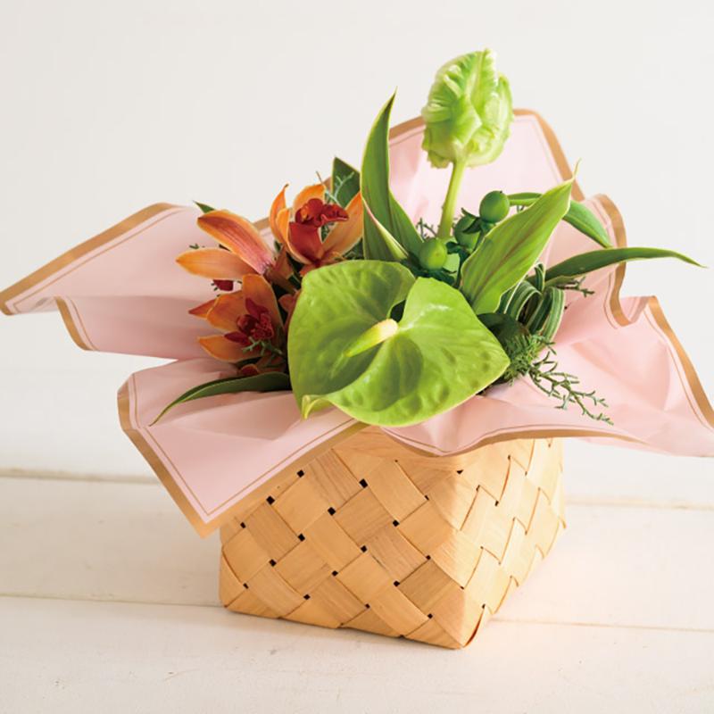 花器 WQU-BKTM ウッドスクエアバスケット-TM(6個) ヘッズ