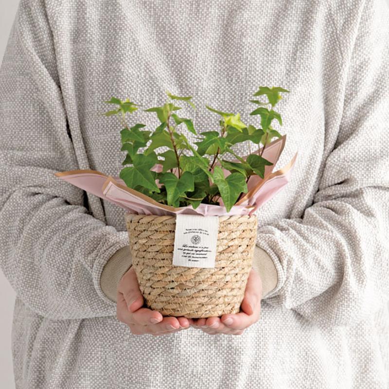 鉢カバー CN-RSB カンパーニュラッシュラウンドバスケット-S(6個) ヘッズ