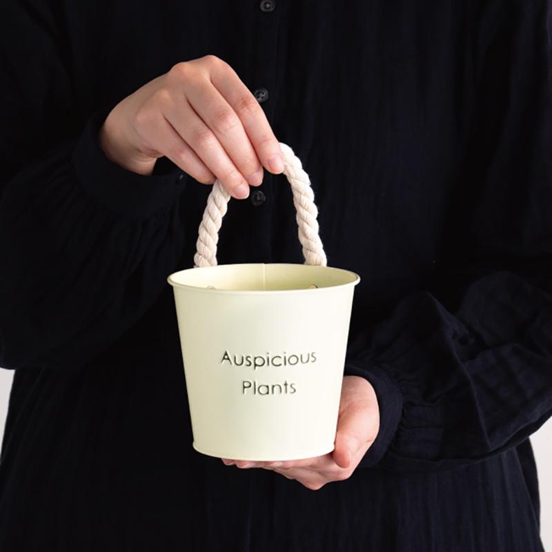 鉢カバー HPI-BBKS ハッピープランツブリキバケツ-S/アイボリー(6個) ヘッズ