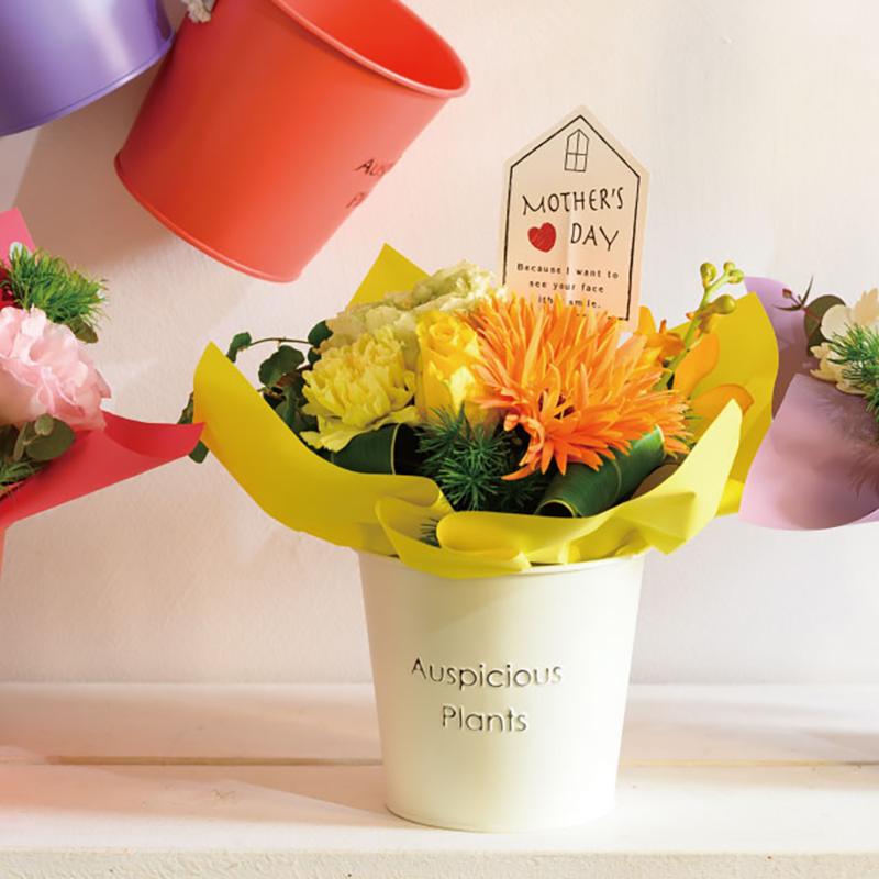 鉢カバー HPI-BBKS ハッピープランツブリキバケツ-S/アイボリー(6個) ヘッズ