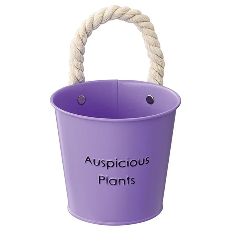 鉢カバー HPP-BBKS ハッピープランツブリキバケツ-S/パープル(6個) ヘッズ